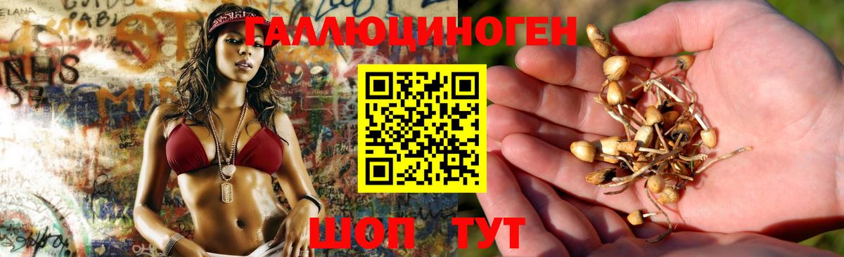 Галлюциногенные грибы Magic Shrooms  Вход с VPN  Ангарск 